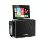 Máquina de karaoke profesional Masingo + 2 micrófonos inalámbricos