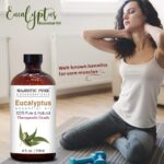 Aceite Esencial terapéutico Puro y Natural Alta Calidad Eucalipto - Imagen 2