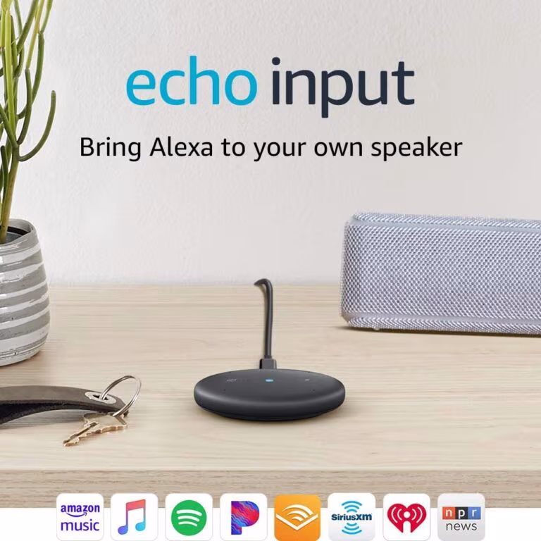Echo Input en Lima