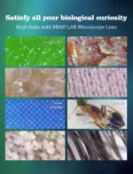 Microscopio de teléfono con lente CPL/luz LED en Lima